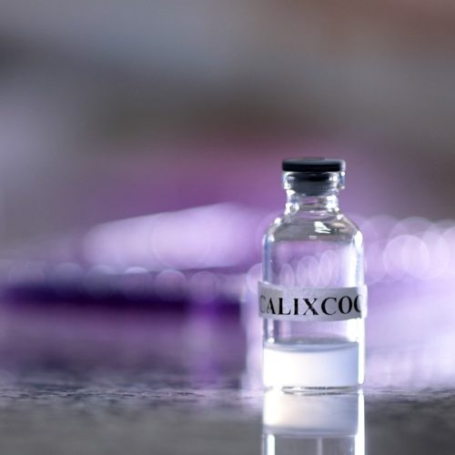 Calixcoca a nova vacina contra o Crack e Cocaína começam os testes em humanos