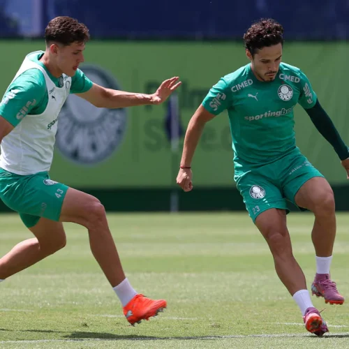 O Palmeiras acerta em negociar Raphael Veiga? Vote!