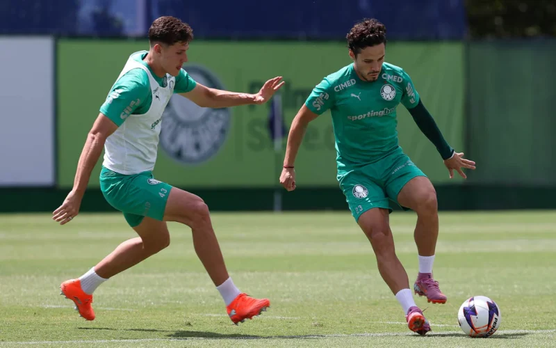 O Palmeiras acerta em negociar Raphael Veiga? Vote!